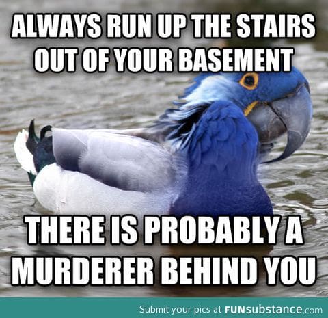 Paranoid advice mallard