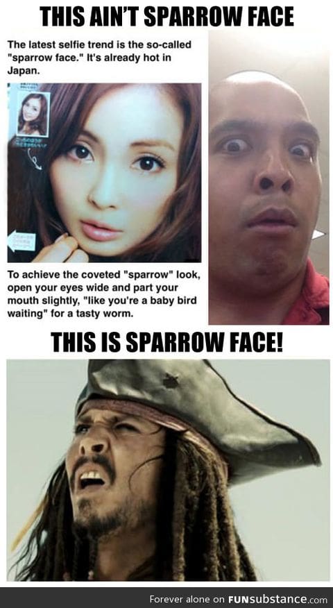 The real sparrow face