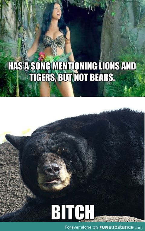 Katy perry making bears mad