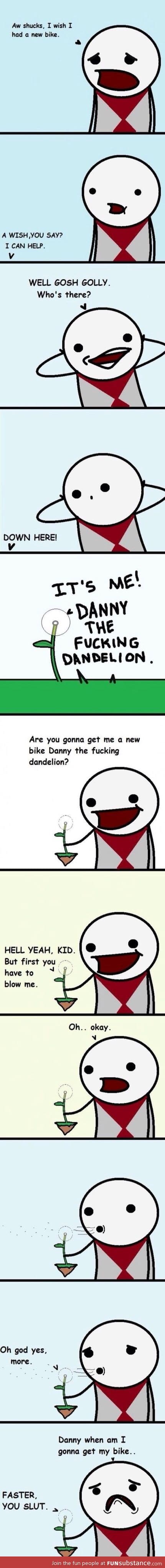 Danny the dandelion