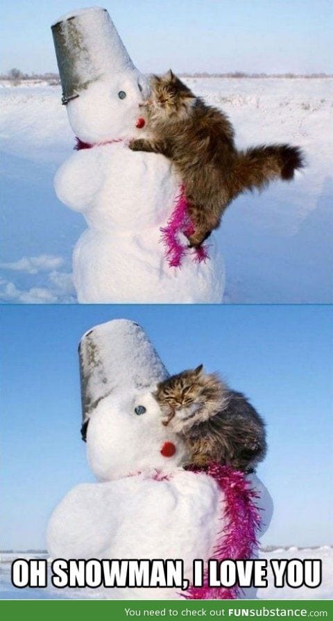 I'm the cat. The snowman knows who he is.