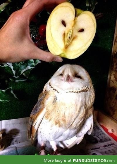 "That apple looks marvelous, darling."