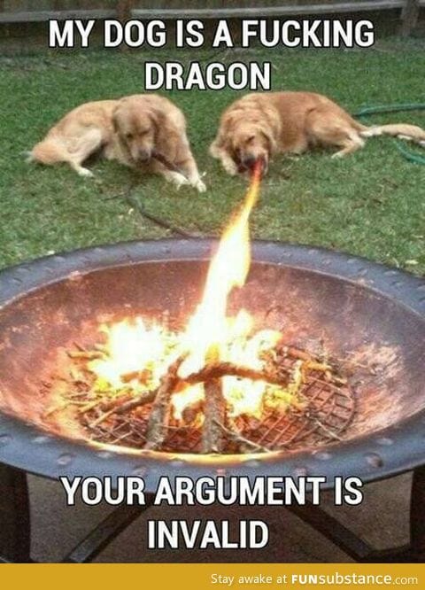 Dog dragon