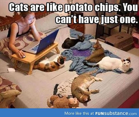 Potato cats