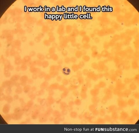 D'aww the happy cell!