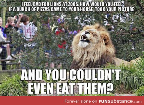 It's very unfair for lions