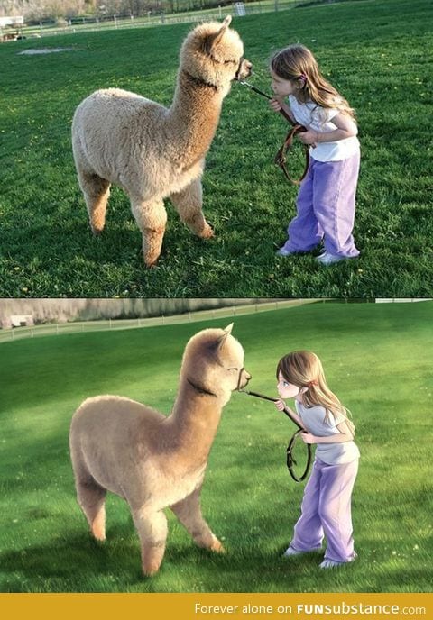 Little girl and alpaca turned into cartoon