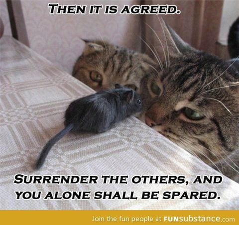 Surrender the others