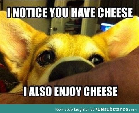 Cheese fiend