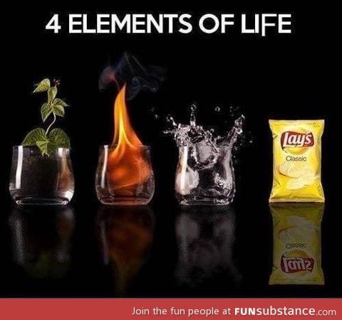 elements of life