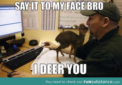 Deer Ya