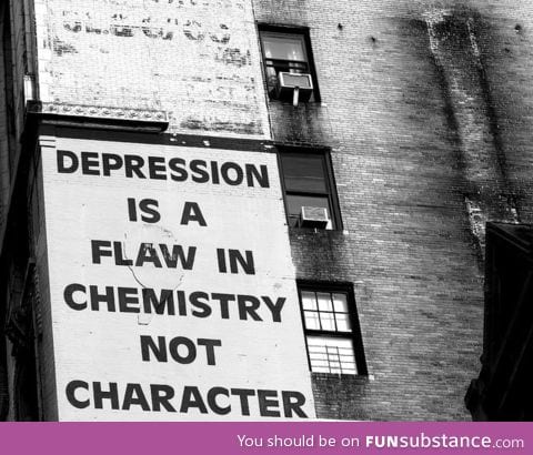 Depression Is A Flaw In Chemistry, Not In Character......