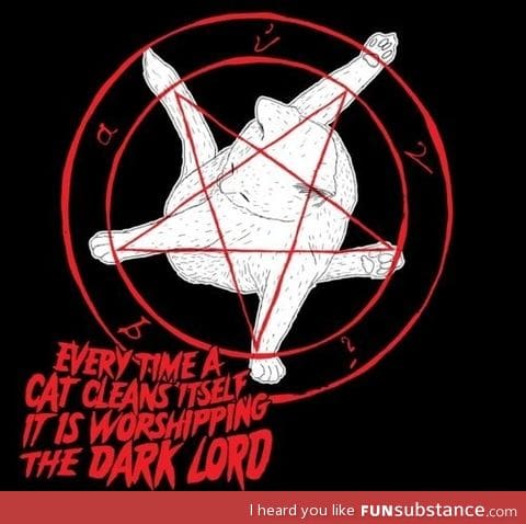 Every time a cat cleans itself, it is worshipping the dark lord