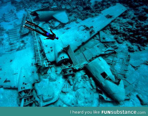 A breathtaking photo of an underwater ;plane wreck