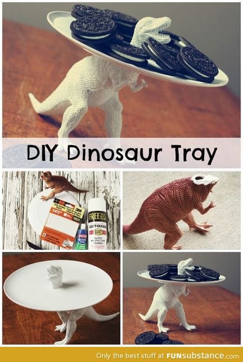 DIY dinosaur tray