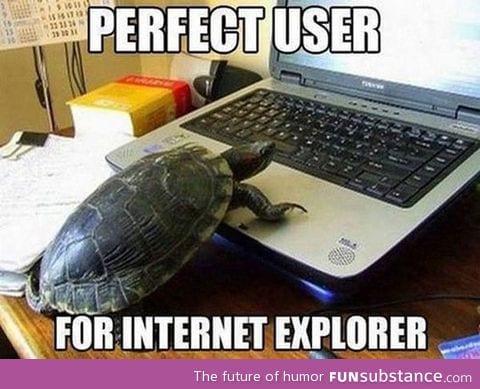 Perfect Internet explorer user