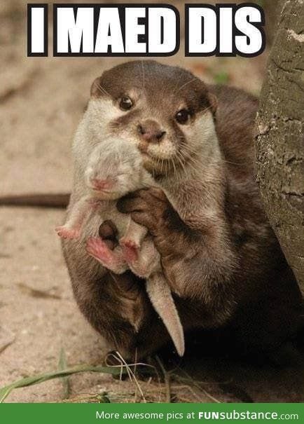 I made dis otter baby