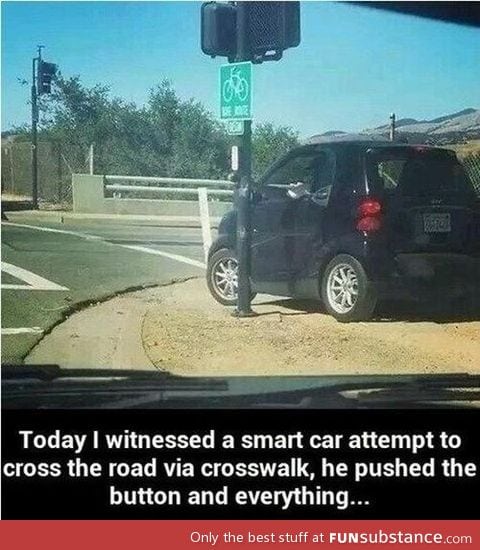 The only way to cross a street safely