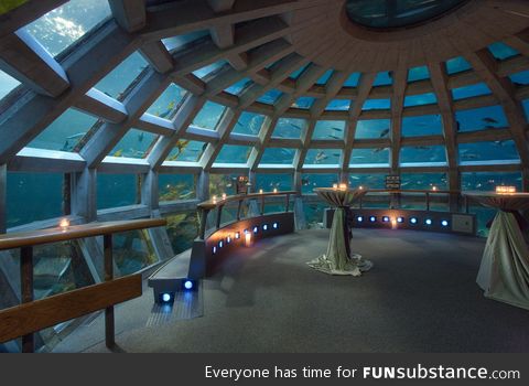 Underwater dome at the seattle aquarium
