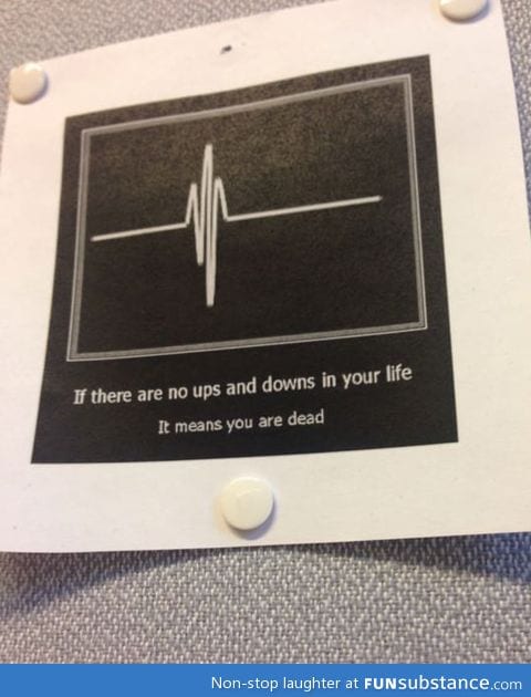 If there are no ups and downs in your life…