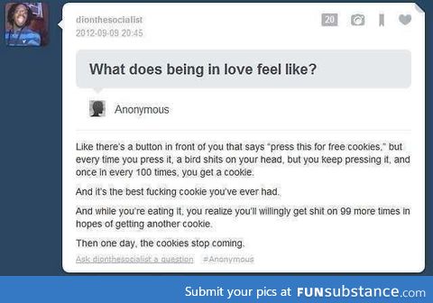 Love as described by Tumblr