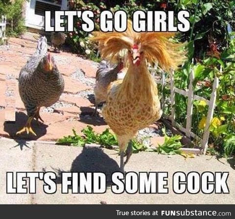 When chicks go out