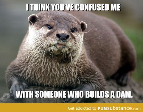 Must have been some otter guy