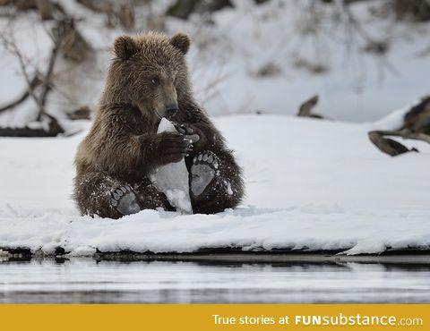 I like this bear, especially his feet