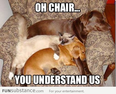Oh chair, you understand us
