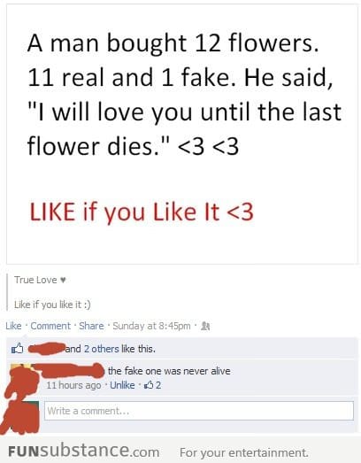 12 flowers, 11 real and 1 fake
