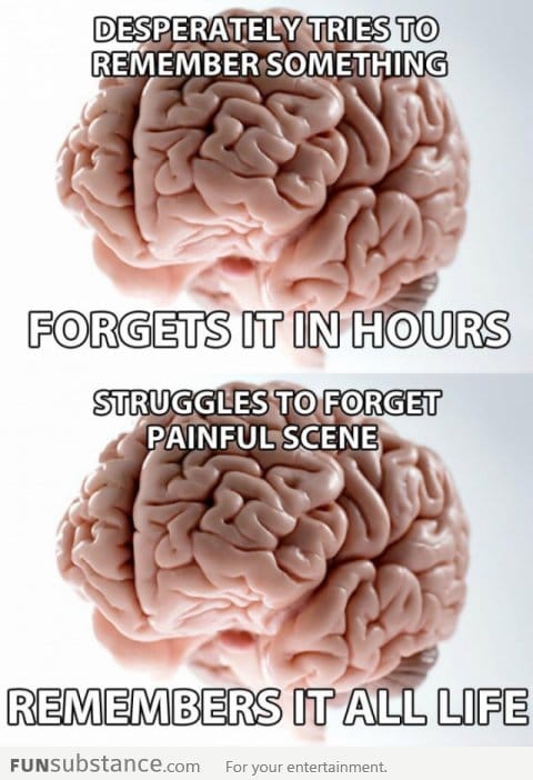 Scumbag brain on remembering things