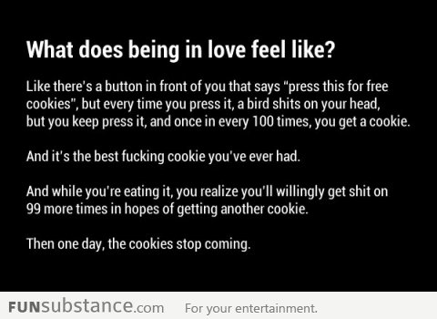 What does being in love feel like?