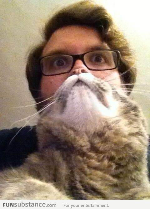 Cat as a Beard