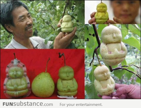 Meanwhile in china, Buddha fruits?