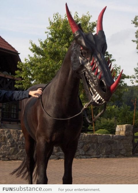 Riding this horse at Halloween would be awesome!