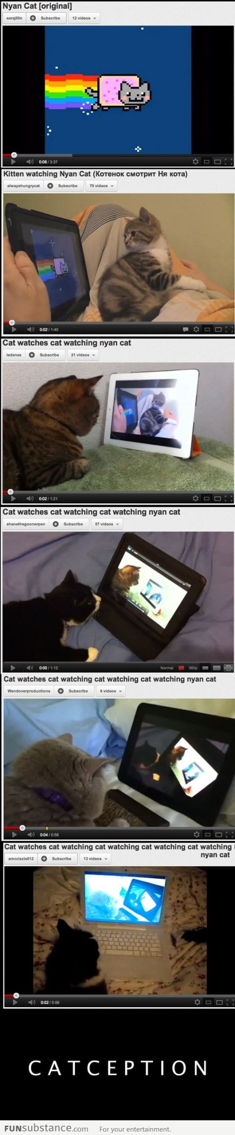 Catception