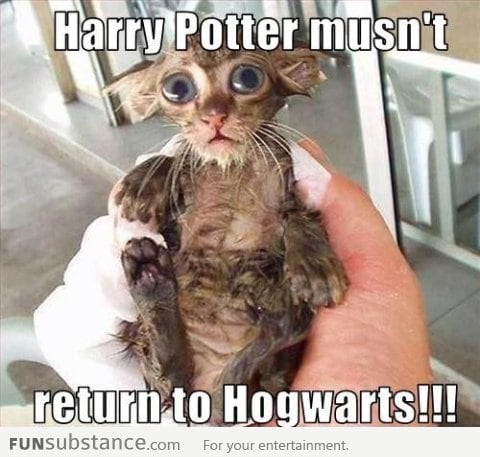 Listen To Dobby!!