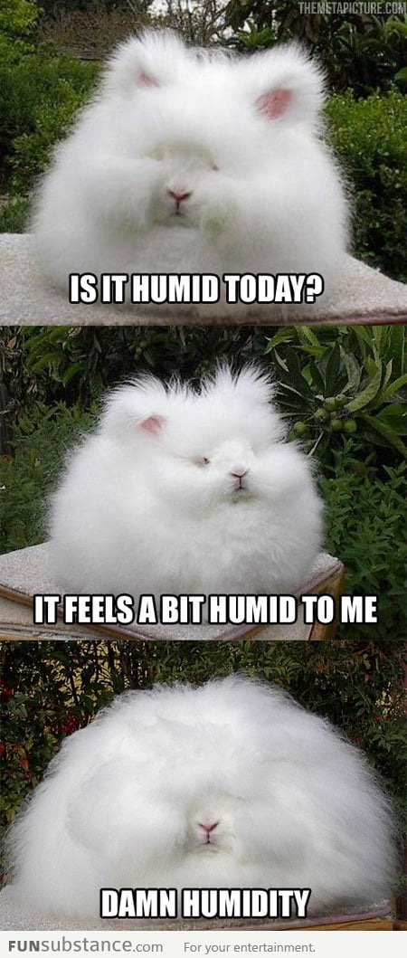 It feels a bit humid