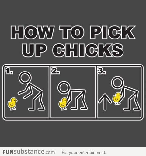 How to pick up chicks