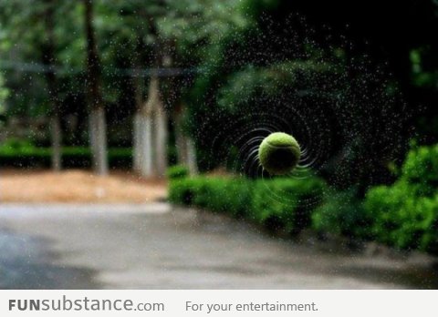 Just a tennis ball captured in mid air