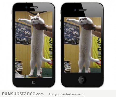 The difference between iPhone 4 and 5