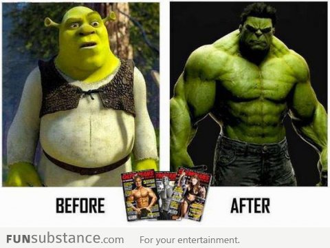 Shrek before and after