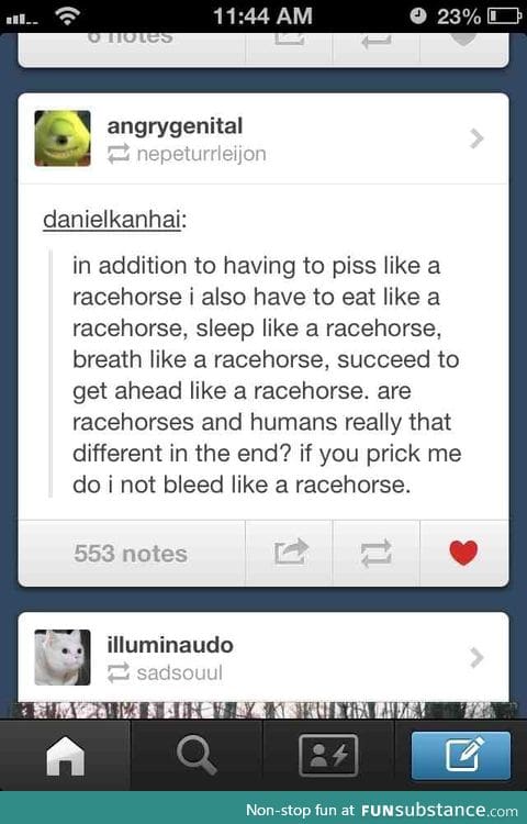 We are racehorses