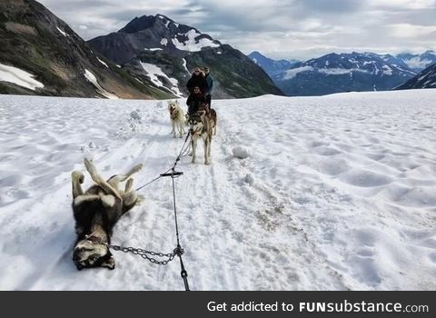 Your typical alaskan flat tire