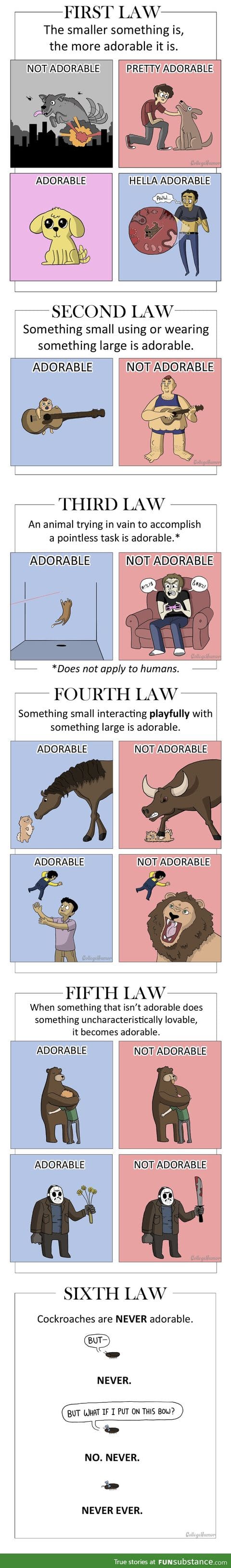 The Laws of Adorability.
