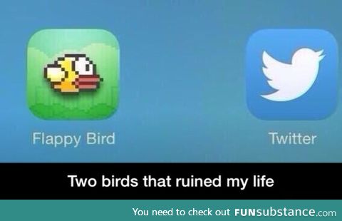 The two birds that ruined my life