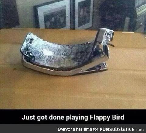 Just Got Done Playing Flappy Bird