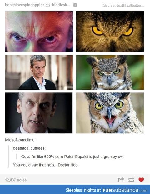 F*cking sh*thead twat owl