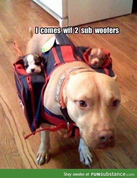 I come with 2 subwoofers!