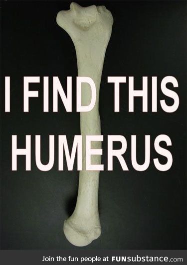 What A Funny Bone...